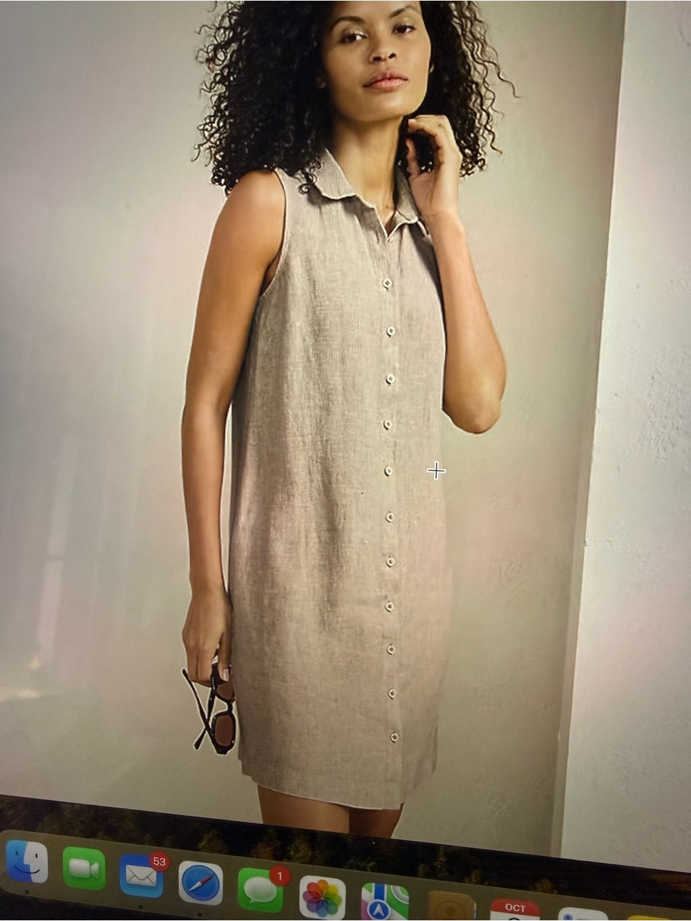 Garnet Hill Sleeveless Button-Front Linen Dress in Sand